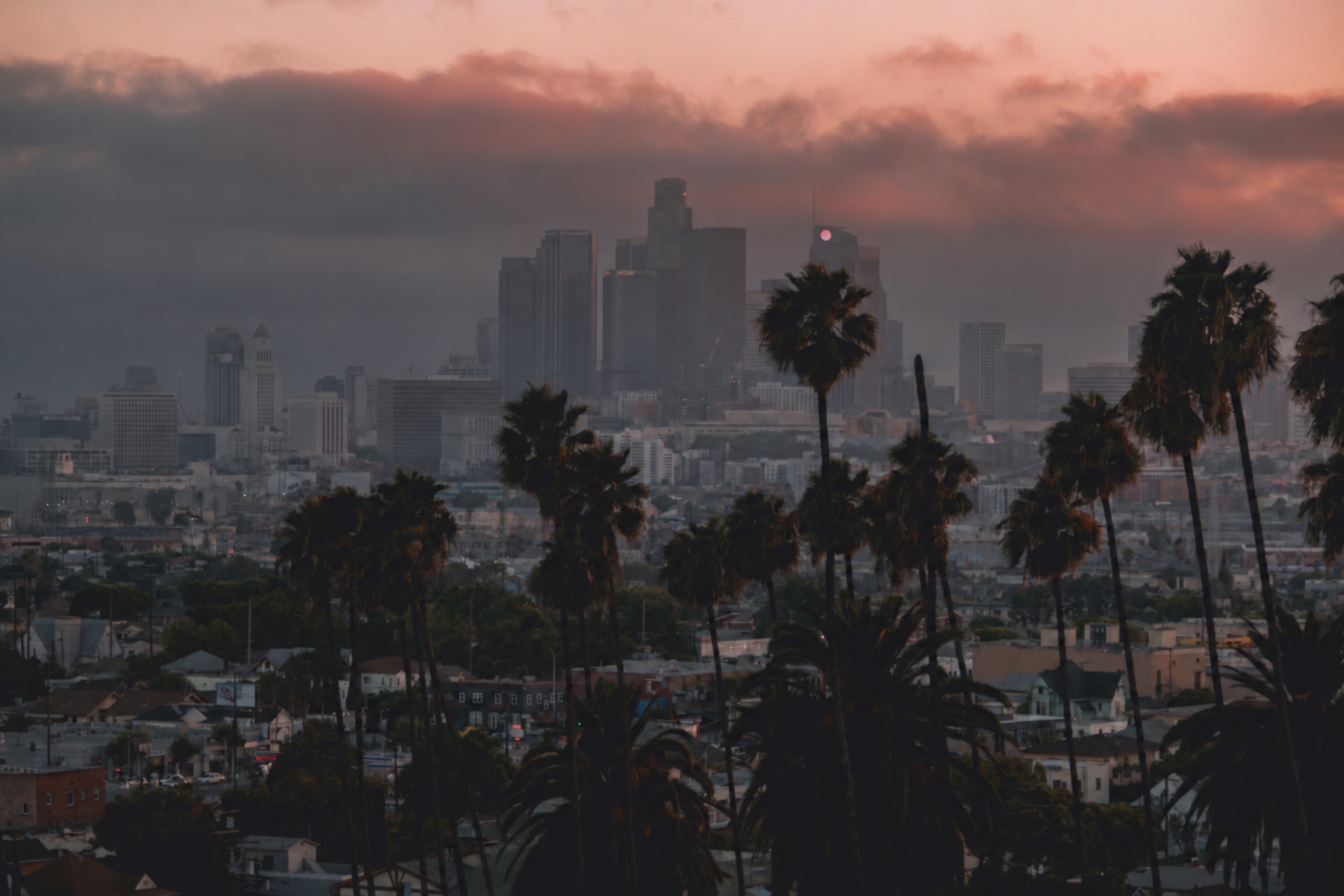 Los Angeles skyline with palm trees at sunset